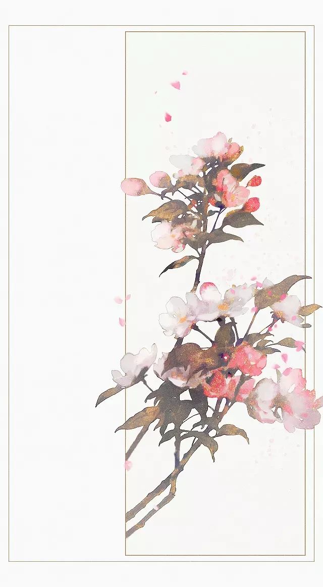 壁纸氵交出你手机在用的壁纸 海外大全